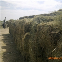 水分15%以下，粗蛋白5-8%的优质青干草