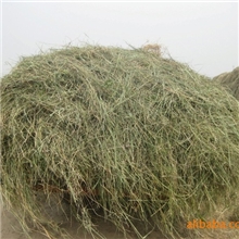 好牛吃&ldquo;热草&rdquo;---青干草