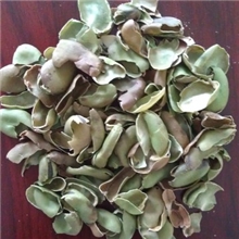 批发供应高蛋白高品质蚕豆壳欢迎来电咨询量大价格从优