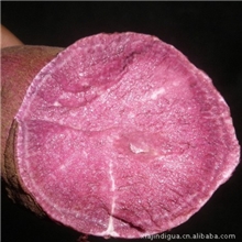 本社直供酒店餐饮连锁专用紫红薯紫番薯紫地瓜黑薯