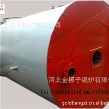 供应石化行业立式250万大卡燃气导热油炉YQL-2900Q燃气导热油炉