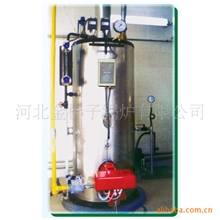 0.4MPa，立式全自动燃油(气)蒸汽锅炉，LHS系列，快装锅炉
