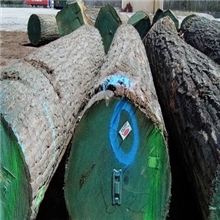 白蜡原木，红橡原木，白橡原木等世界名贵木材.