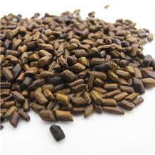 花草茶决明子批发草决明决明子茶明目