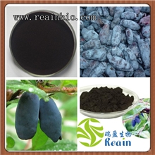 蓝靛果提取物|蓝靛果花青素20%|软化血管，改善视力|专业厂家