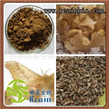 雄蚕蛾提取物纯天然补肾壮阳纯天然男性保健品原料粉厂家供应价