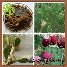 仙人掌提取物|减肥，降血糖纯天然原料|专业植提生产厂家供应价格