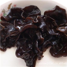 网络热销木耳提取物木耳多糖30%