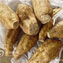 网络热销供应葛根提取物