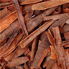 网络热销肉桂提取物10:11深棕色粉末