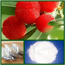 厂家供应优质保健原料二氢杨梅素50-98%【保肝护肝，解酒醒酒】