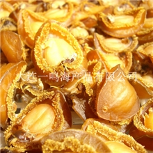 鲍鱼厂家批发淡干冻煮鲍鱼即食鲍鱼OEM/ODM