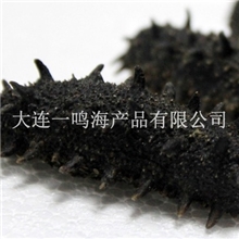 淡干海参厂家大量出售淡干海参系列原淡干海参OEM/ODM