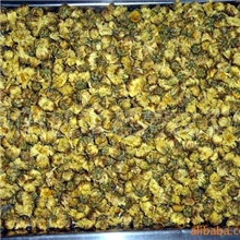 【质优价廉】胎菊(?公害农产品)