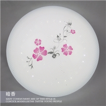 LED吸顶灯新款简约卧室书房餐厅走廊过道客厅灯灯具灯饰批发