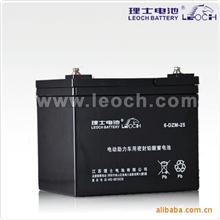 供应理士电动车滑板车电池电动车蓄电池