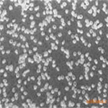 供应优质金刚石微粉