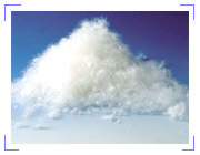 厂家直供60%白鸭绒，绝不掺飞丝。绒朵大