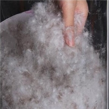 供应水洗灰鸭绒，80%灰鸭绒，80/20