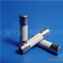 供应6*30电流保险丝管。引线陶瓷保险丝。2A保险管。