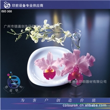 德瀛创先提供专业短版数码打印机