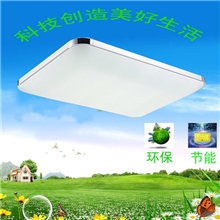 【博新】LED吸顶灯卧室餐厅客厅书房灯创意节能灯铁艺吸顶灯