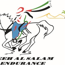 恭喜发财彼尼专业批发多少金额直接拍多少数量