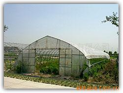 供应温室大棚