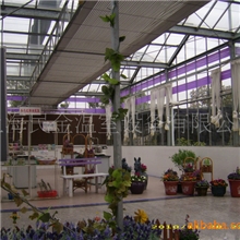 销售玻璃温室