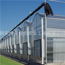 供应连栋、圆顶、文洛式、全中空pc板温室大棚工程