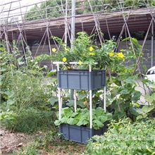 东莞&ldquo;致丽ZOLLY&rdquo;牌水土混培种植箱，种菜箱，双层立体结构