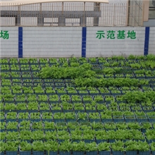 &ldquo;致丽ZOLLY&rdquo;牌水土混培种植箱阳台种菜箱规模种植箱