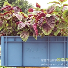东莞&ldquo;致丽ZOLLY&rdquo;牌水土混培种植箱，种菜箱带泥土及种子