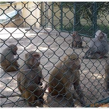 厂家直供养殖铁丝网围栏铁丝网围栏价格合理