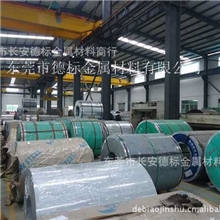 secd环保镀锌板电解板镀锌卷无花镀锌板