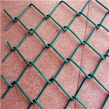 厂家直销喷塑勾花网5*5勾花网5*10勾花网