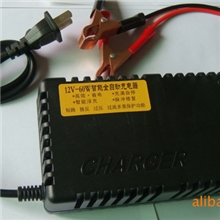 厂家批发电子式全自动充电器12V