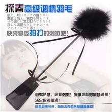 新品情趣用品多功能调情挑逗羽毛夫妻调情可打屁屁性爱另类玩具