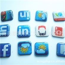 供应环氧树脂冰箱贴/水晶滴胶磁性贴/磁性冰箱贴