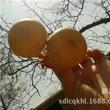 （批发进货）单柄葫芦文玩葫芦宝葫芦天然葫芦