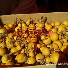 美国手捻葫芦文玩葫芦地摊葫芦铁包金葫芦