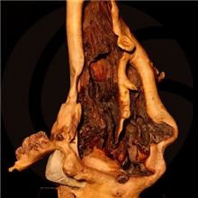 【木香缘】根雕根雕批发天然根雕根艺摆件根雕厂家根雕艺术