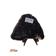 产地直销木化石价格树化石批发硅化木奇石摆件