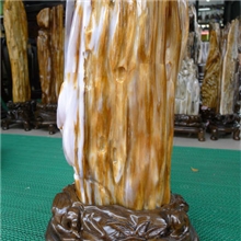 缅甸树化玉AN003