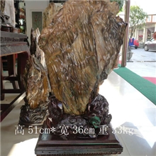 缅甸树化玉AD016