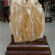 缅甸树化玉AF019