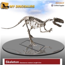 【龙晨时代】建设气龙恐龙化石骨架【恐龙博物馆、商业活动】