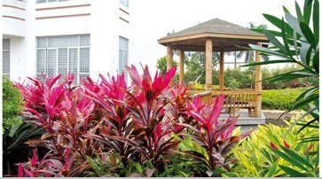 祝贺浙江泰源电镀有限公司签约亚普电镀软件