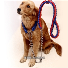 多色新款项圈式狗绳宠物牵引绳适用小中大型犬新品热销