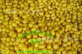 山东郯城银杏主产区批发价格优惠出油多榨油银杏仁生白果（实物图